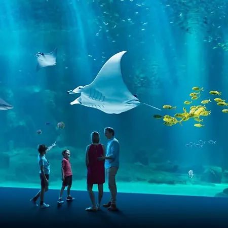 بيت للعطل L'opaline, Ravissante Maison Familiale, *